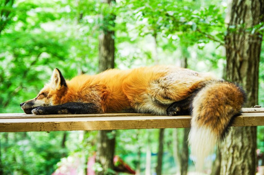 sommeil mieux dormir routine du soir